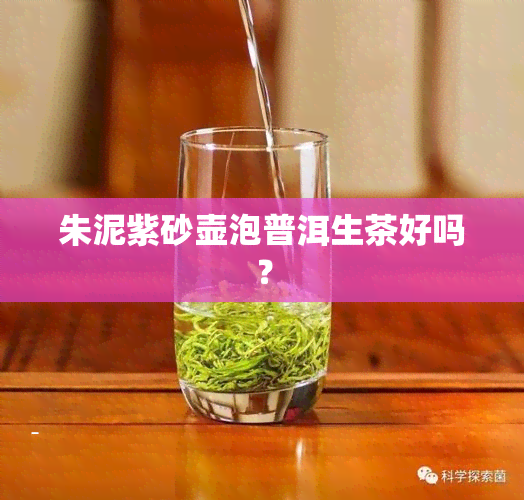 朱泥紫砂壶泡普洱生茶好吗？