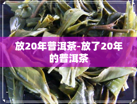 放20年普洱茶-放了20年的普洱茶