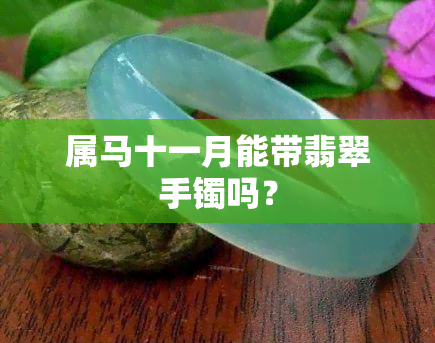 属马十一月能带翡翠手镯吗？