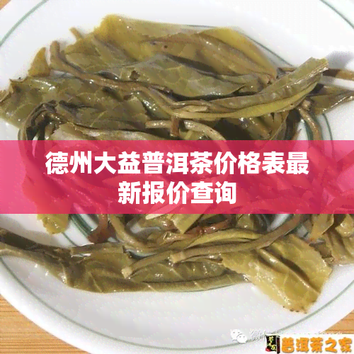 德州大益普洱茶价格表最新报价查询