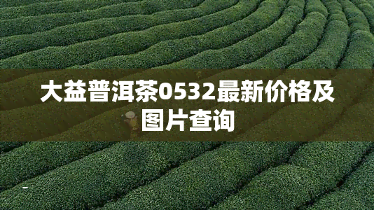 大益普洱茶0532最新价格及图片查询