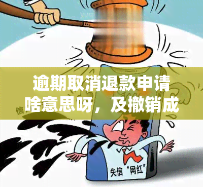 逾期取消退款申请啥意思呀，及撤销成功可能性