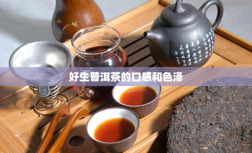 好生普洱茶的口感和色泽