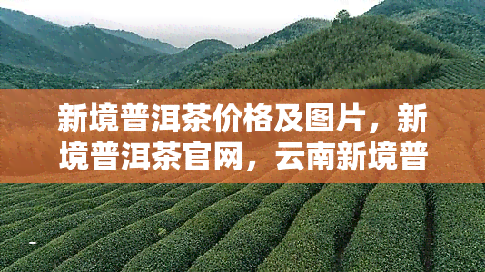 新境普洱茶价格及图片，新境普洱茶官网，云南新境普洱茶