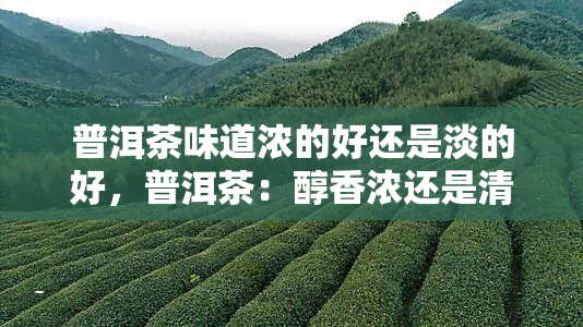 普洱茶味道浓的好还是淡的好，普洱茶：醇香浓还是清淡幽雅？探讨味道的选择之道