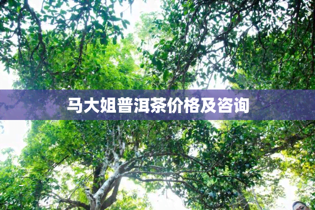 马大姐普洱茶价格及咨询