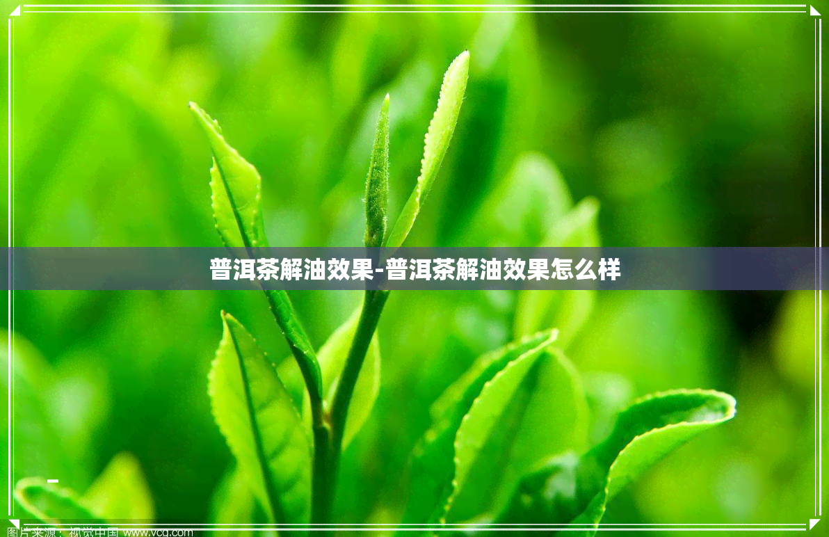 普洱茶解油效果-普洱茶解油效果怎么样