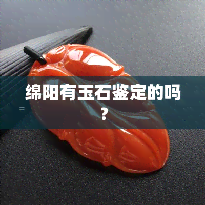 绵阳有玉石鉴定的吗？