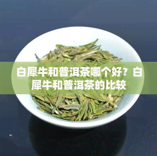 白犀牛和普洱茶哪个好？白犀牛和普洱茶的比较