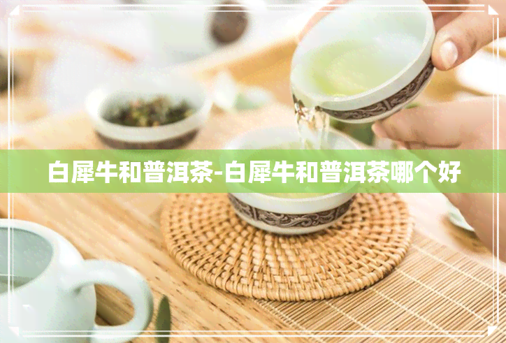 白犀牛和普洱茶-白犀牛和普洱茶哪个好