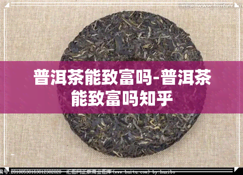 普洱茶能致富吗-普洱茶能致富吗知乎