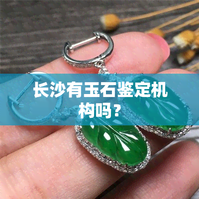 长沙有玉石鉴定机构吗？