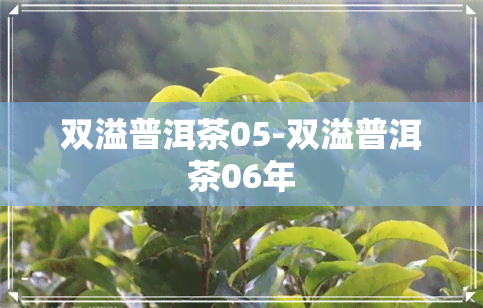 双溢普洱茶05-双溢普洱茶06年