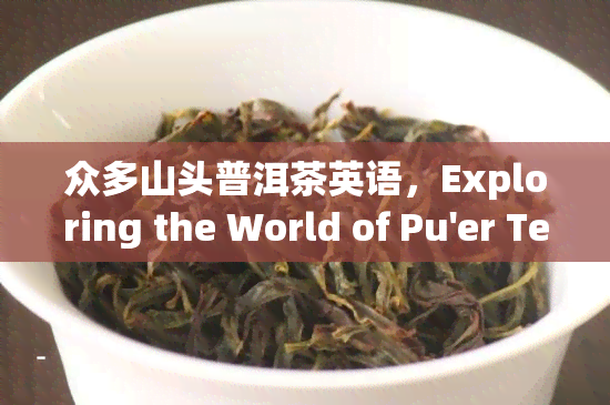 众多山头普洱茶英语，Exploring the World of Pu'er Tea: Unraveling the Diversity of Mountain-Grown Varieties