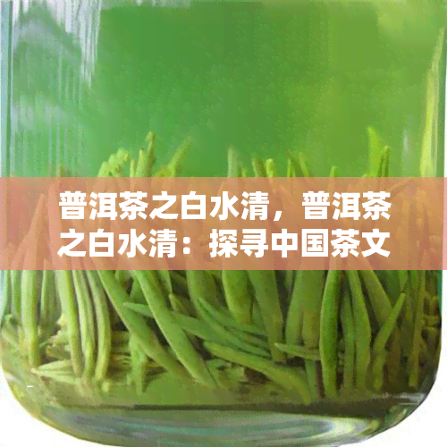 普洱茶之白水清，普洱茶之白水清：探寻中国茶文化的根源