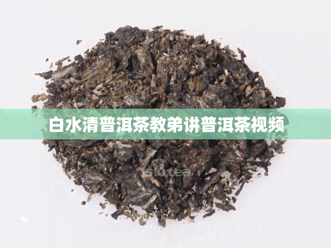 白水清普洱茶教弟讲普洱茶视频