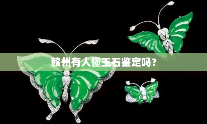 赣州有人懂玉石鉴定吗？