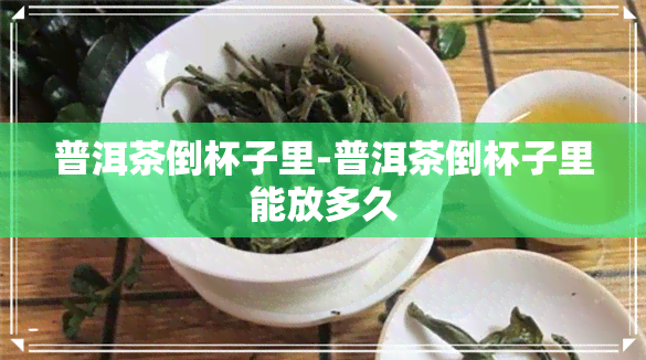 普洱茶倒杯子里-普洱茶倒杯子里能放多久