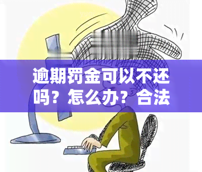 逾期罚金可以不还吗？怎么办？合法吗？更高可累计多少？