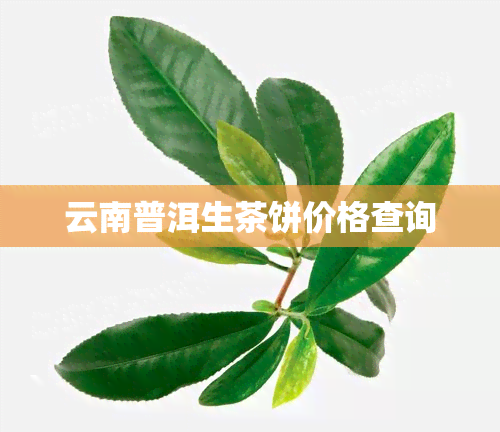 云南普洱生茶饼价格查询