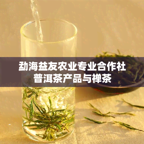 勐海益友农业专业合作社普洱茶产品与禅茶