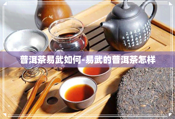 普洱茶易武如何-易武的普洱茶怎样