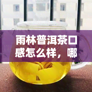 雨林普洱茶口感怎么样，哪款值得收藏