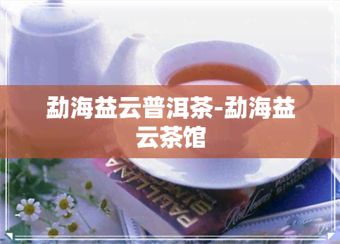 勐海益云普洱茶-勐海益云茶馆