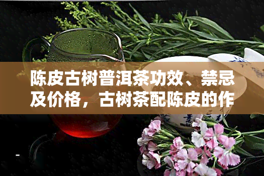 陈皮古树普洱茶功效、禁忌及价格，古树茶配陈皮的作用和食用方法