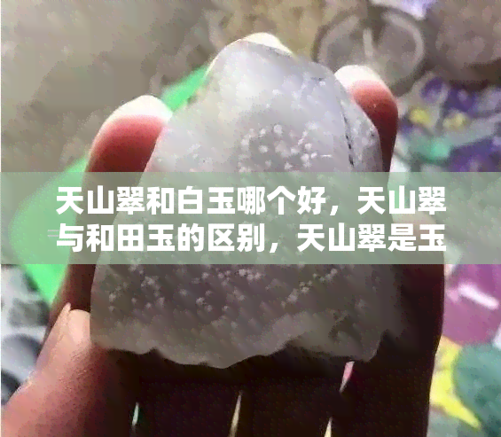 天山翠和白玉哪个好，天山翠与和田玉的区别，天山翠是玉吗