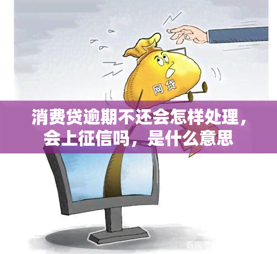 消费贷逾期不还会怎样处理，会上吗，是什么意思