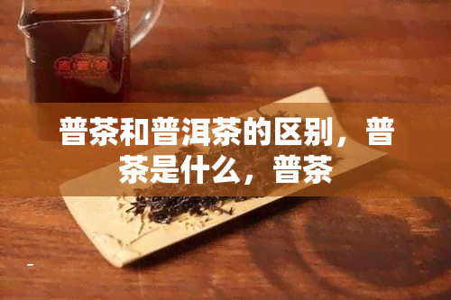 普茶和普洱茶的区别，普茶是什么，普茶