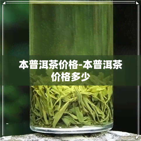 本普洱茶价格-本普洱茶价格多少