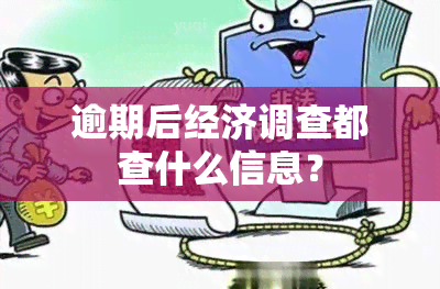 逾期后经济调查都查什么信息？