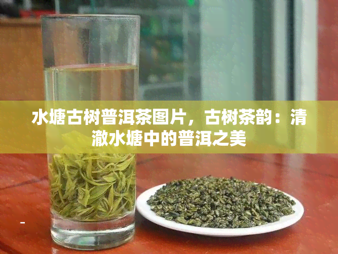 水塘古树普洱茶图片，古树茶韵：清澈水塘中的普洱之美