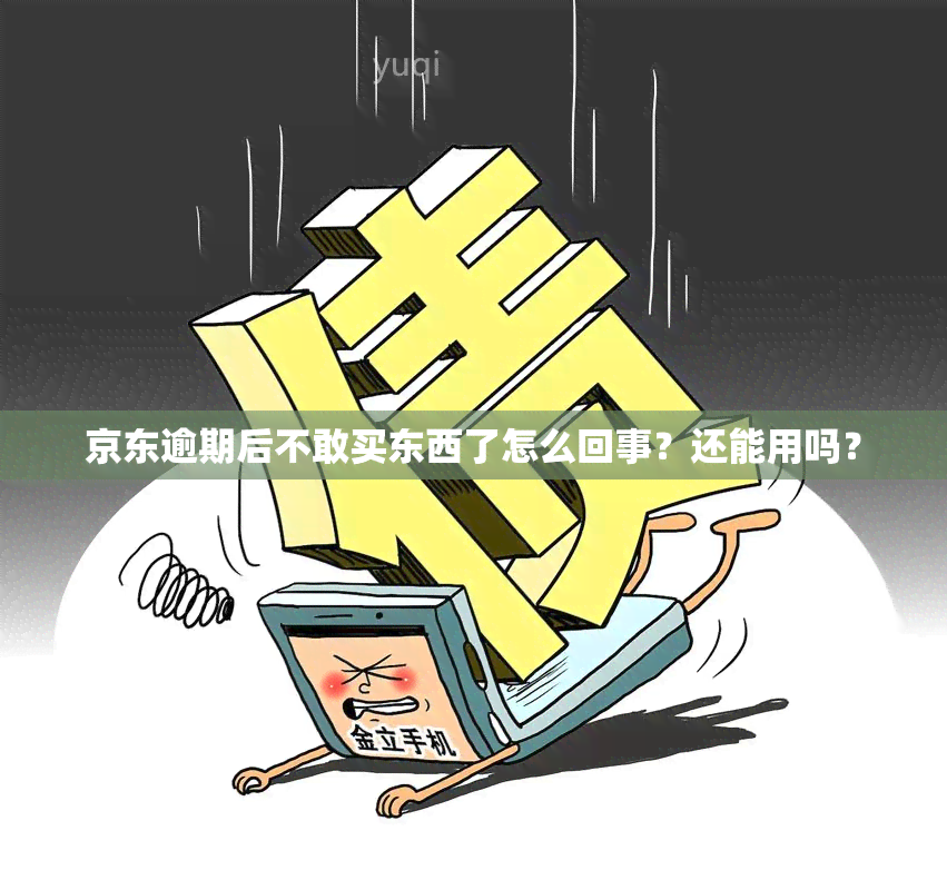 京东逾期后不敢买东西了怎么回事？还能用吗？