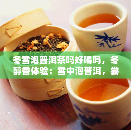 冬雪泡普洱茶吗好喝吗，冬醇香体验：雪中泡普洱，尝味觉体验！