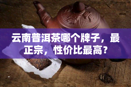 云南普洱茶哪个牌子，最正宗，性价比更高？