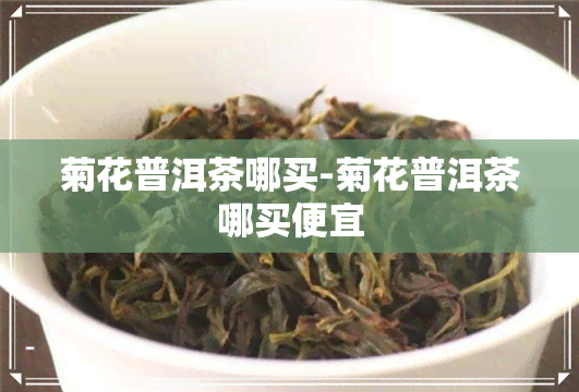 菊花普洱茶哪买-菊花普洱茶哪买便宜