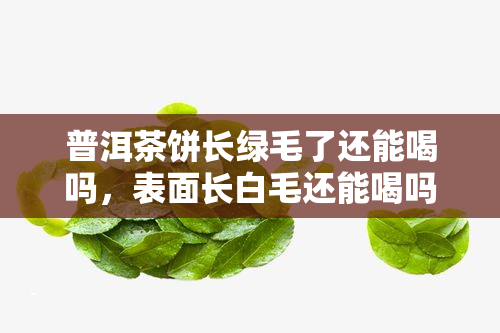 普洱茶饼长绿毛了还能喝吗，表面长白毛还能喝吗？