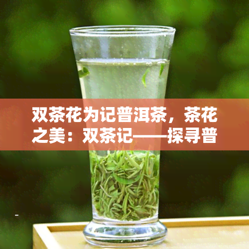 双茶花为记普洱茶，茶花之美：双茶记——探寻普洱茶的故事