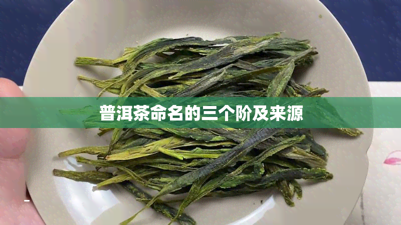 普洱茶命名的三个阶及来源