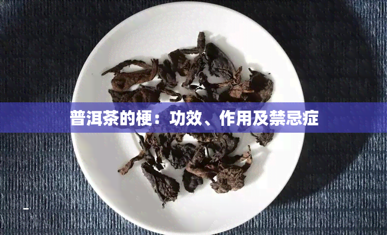 普洱茶的梗：功效、作用及禁忌症