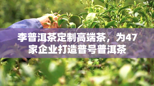 李普洱茶定制高端茶，为47家企业打造普号普洱茶