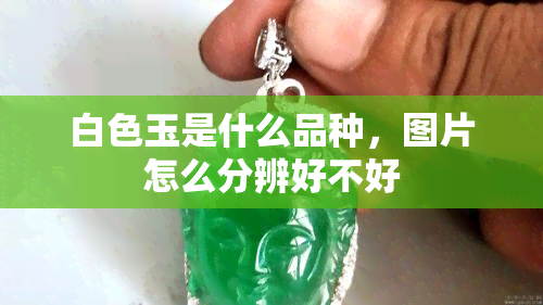 白色玉是什么品种，图片怎么分辨好不好