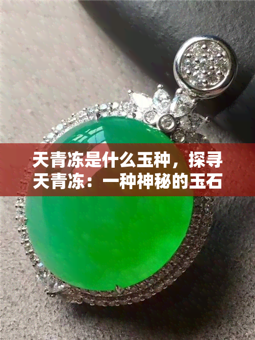 天青冻是什么玉种，探寻天青冻：一种神秘的玉石