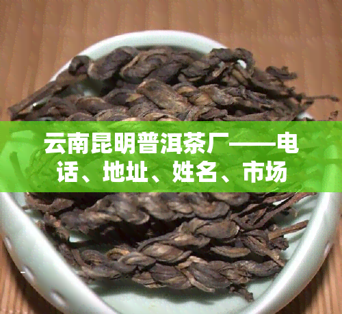 云南昆明普洱茶厂——电话、地址、姓名、市场