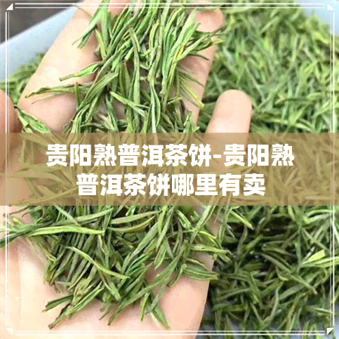 贵阳熟普洱茶饼-贵阳熟普洱茶饼哪里有卖