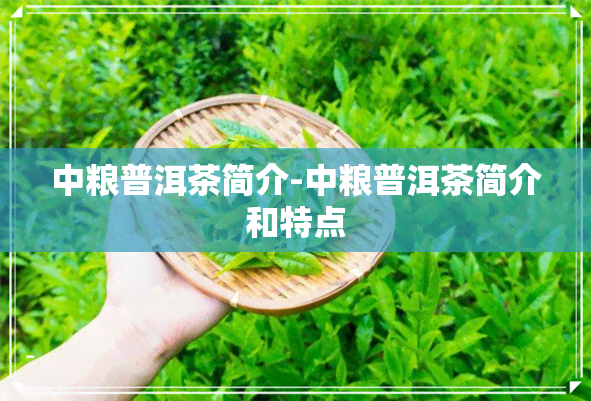 中粮普洱茶简介-中粮普洱茶简介和特点