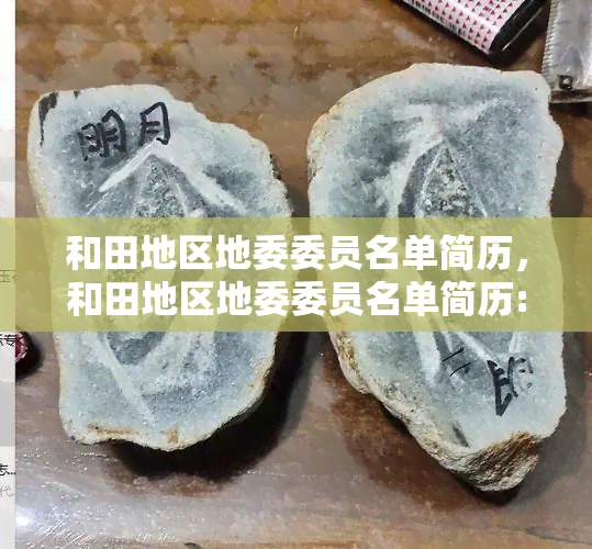 和田地区地委委员名单简历，和田地区地委委员名单简历: 探寻领导班子的成长历程